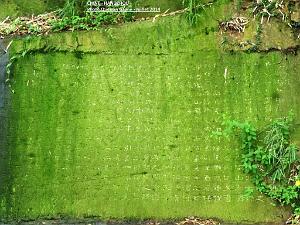 Quentin- Hangzhou 024